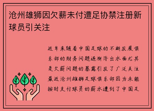 沧州雄狮因欠薪未付遭足协禁注册新球员引关注